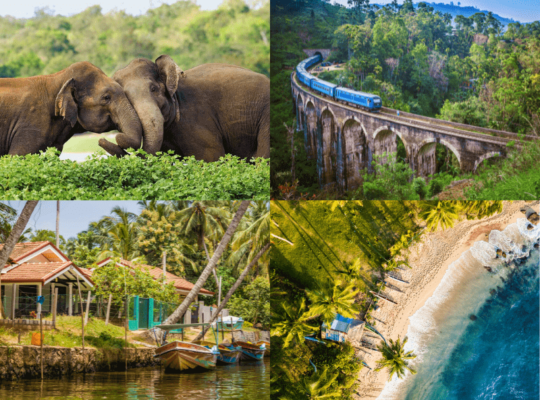 Explore Best Places to Visit in Sri Lanka